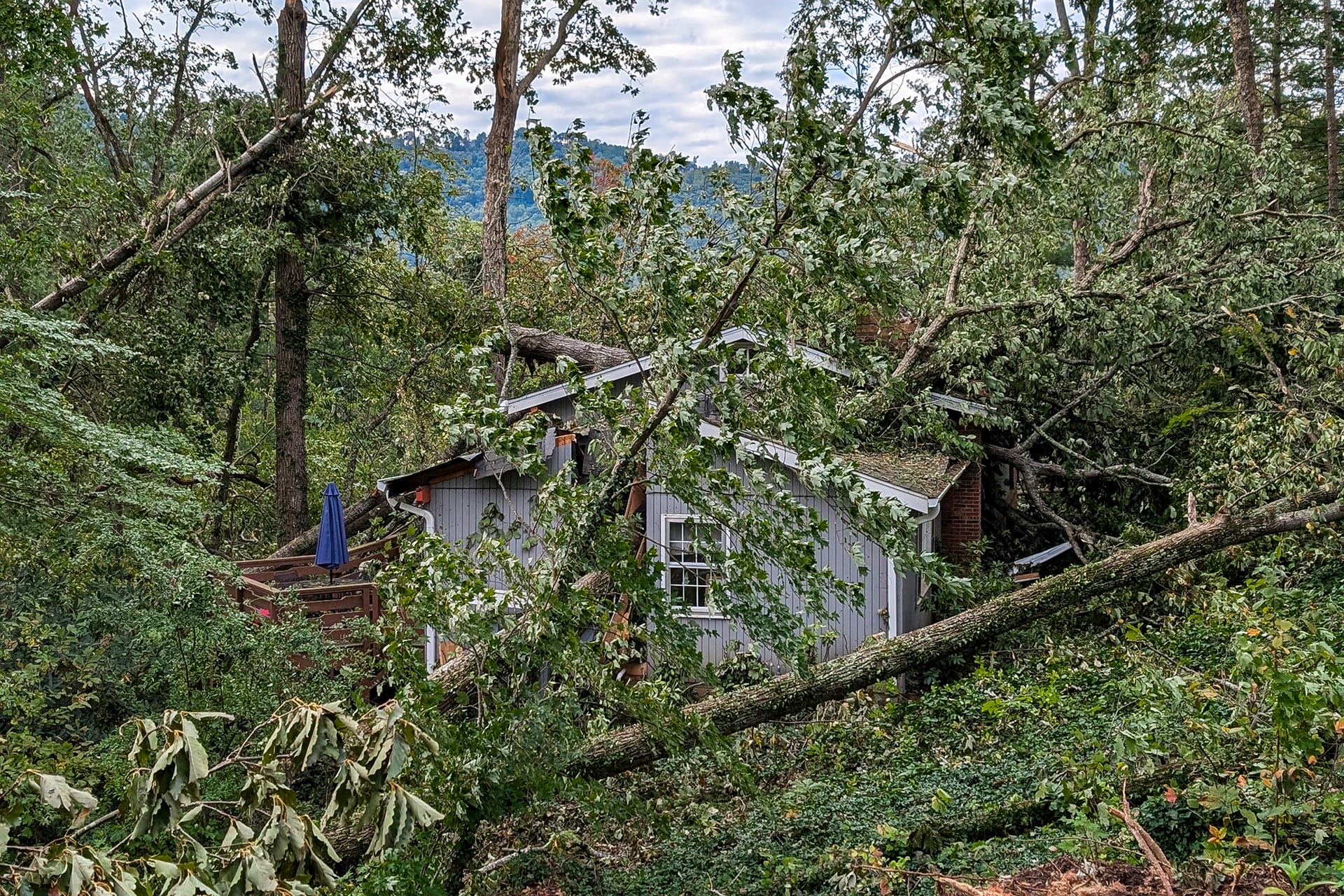 Tree damage on a North Asheville house just after the hurricane. | Matt Self