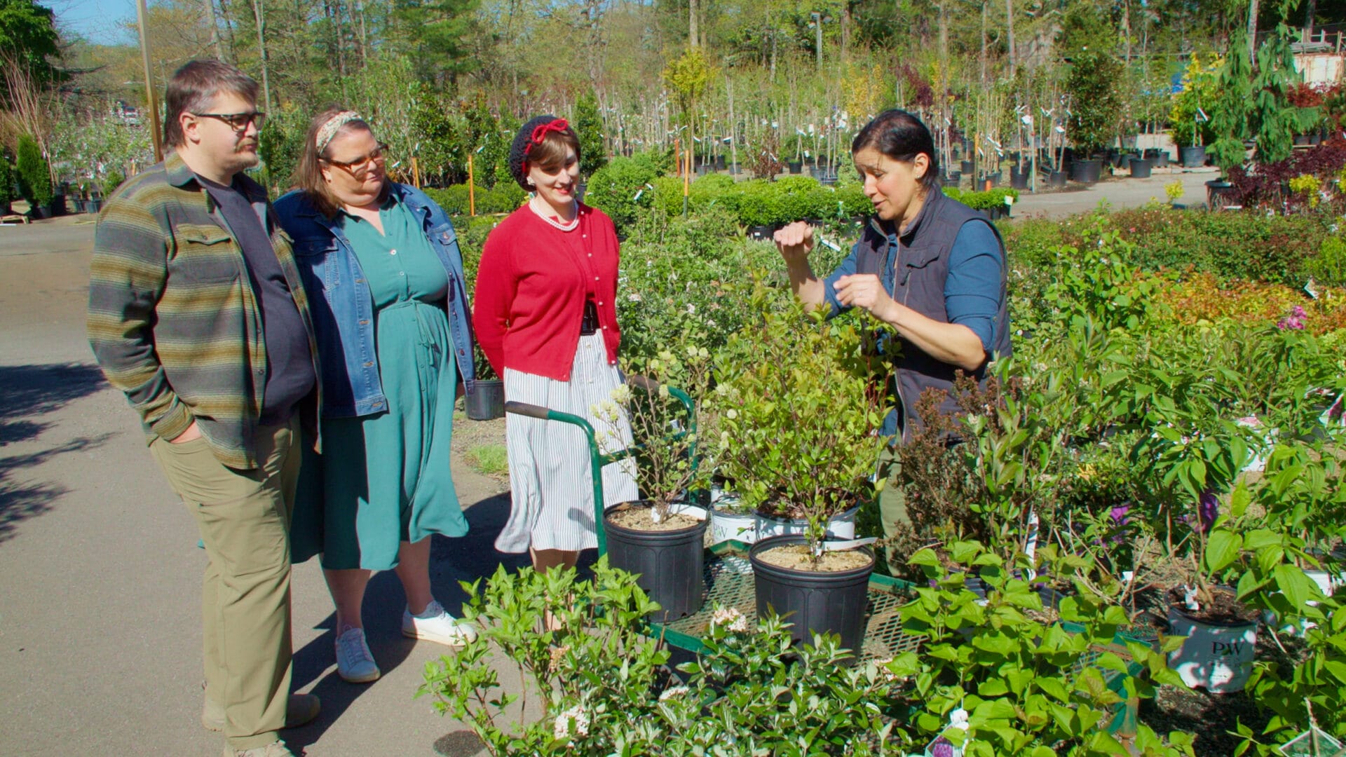 S47, Web Series E4: Jenn Nawada discusses plants for re-landscaping devastated yards in Swannanoa